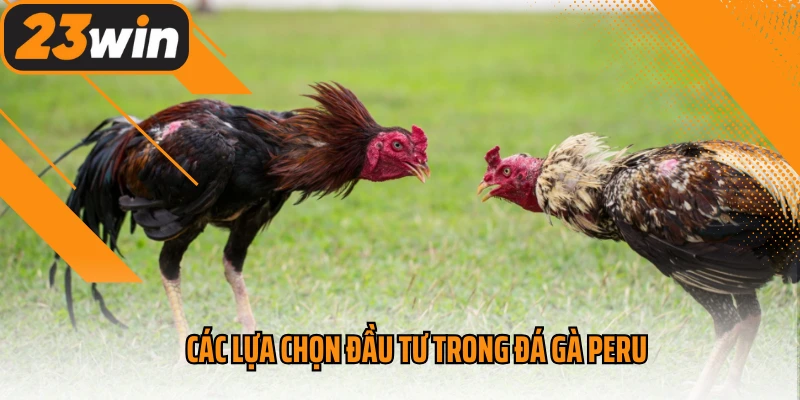 Các lựa chọn đầu tư trong đá gà Peru