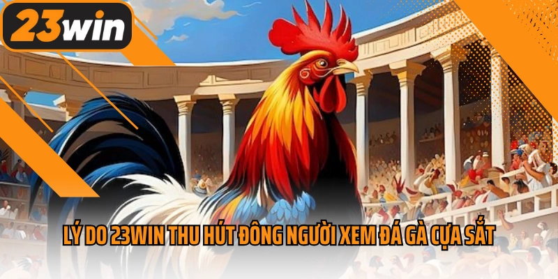 Lý do 23win thu hút đông người xem đá gà cựa sắt