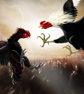 sảnh aog đá gà 23win