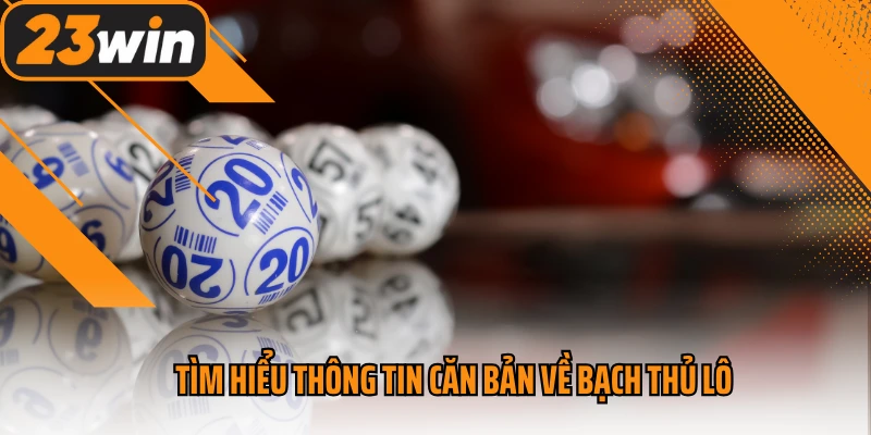 Tìm hiểu thông tin căn bản về bạch thủ lô