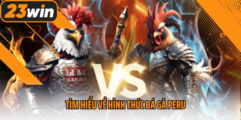 Tìm hiểu về hình thức đá gà Peru